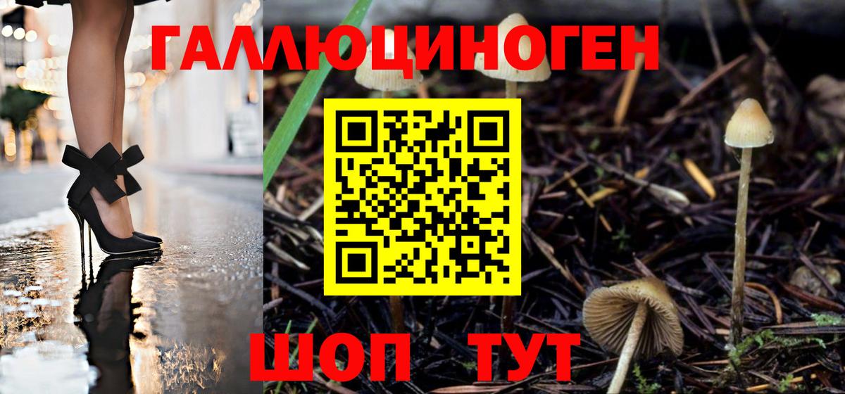 Галлюциногенные грибы Magic Shrooms  магазин  наркотиков  Вход с VPN  Кингисепп  Галлюциногенные грибы прущие грибы 